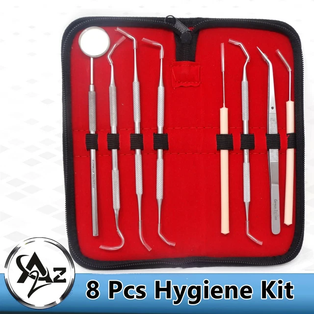 DENTAL TOOLS SET Dentist Teeth Kit Oral Clean Probe Stainless Steel