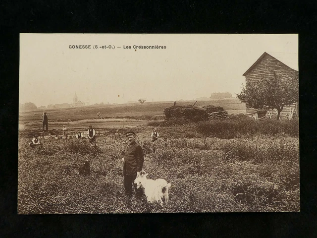 CPA GONESSE ( 95) VAL D'OISE - les cressonnieres carte animée chevre