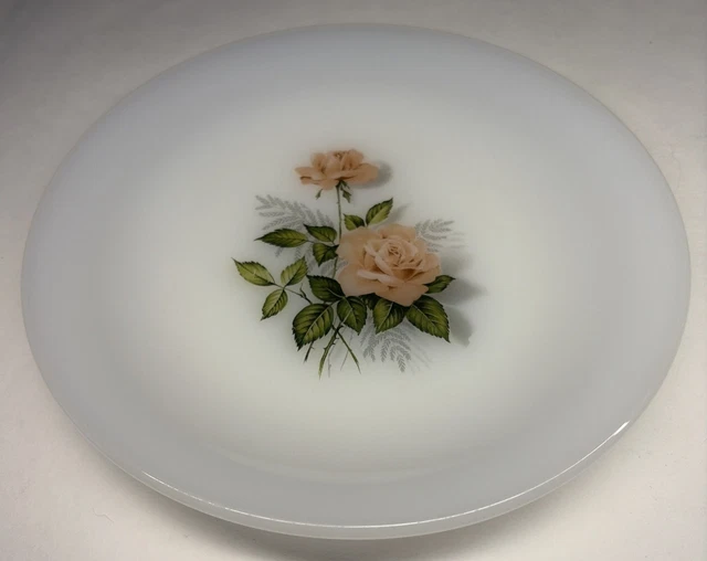 Lot De 6 Assiettes Plates Arcopal Vintage Motif Mint, 20cm, Made In France