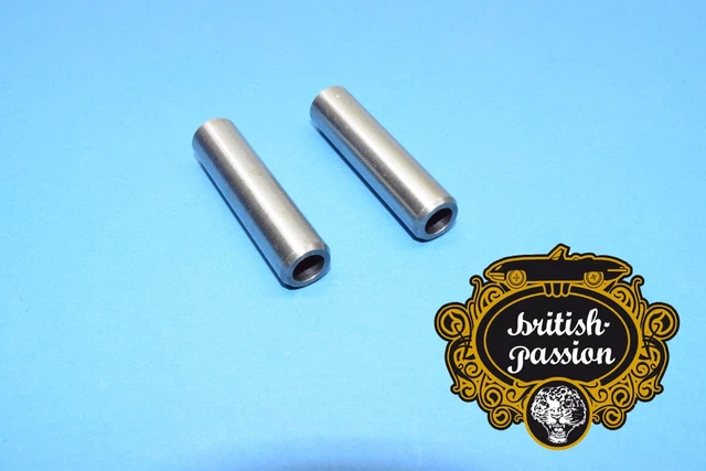 Apex Lentilles Rechange pour Électrique Ohm Lunettes de Soleil