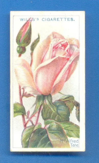 ROSES.2nd SERIES.No.83.RMS.ALFRED TATE.WILLS CIGARETTE CARD ISSUED 1914