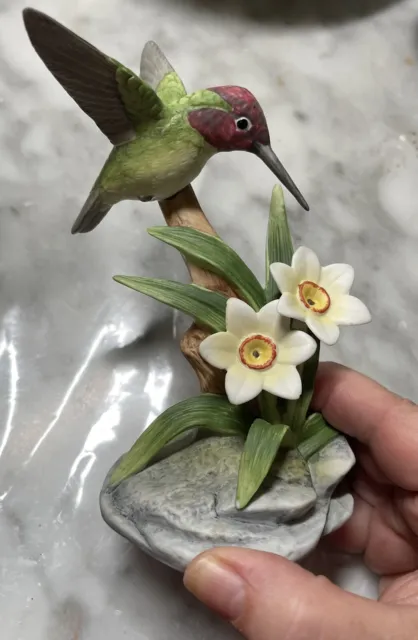 Andrea by Sadek VTG 1986 Costa's Hummingbird Porcelain Figurine #7683 MINT Japan