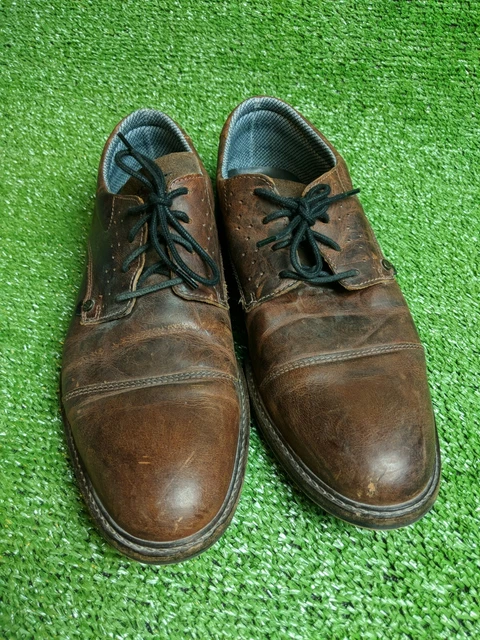 Bullboxer brandyn oxford deals