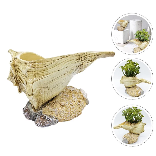 1Pc Conch Topf Air Pflanzen Halter Sukkulenten Anlage Halter
