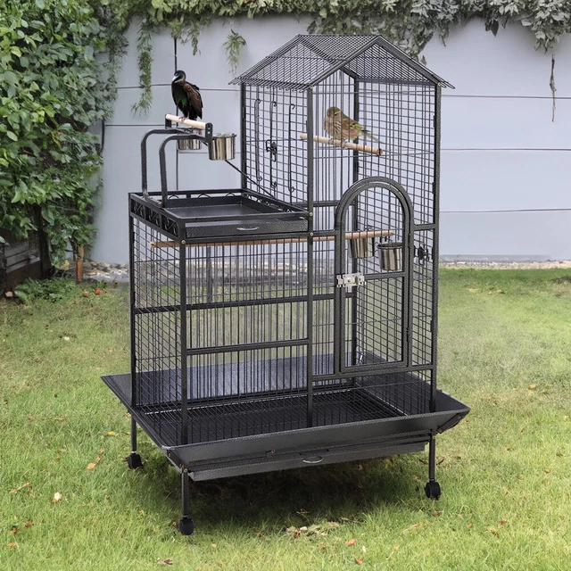 Snapshot of Large Parrot Aviaries With Open-Top Designs