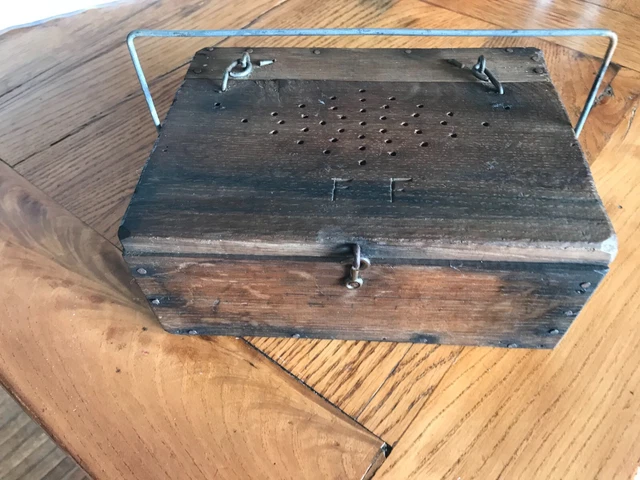 Ancienne Boîte à Grillons En Bois Rustique - Pêche Appât - Coffre Fait Main - USA
