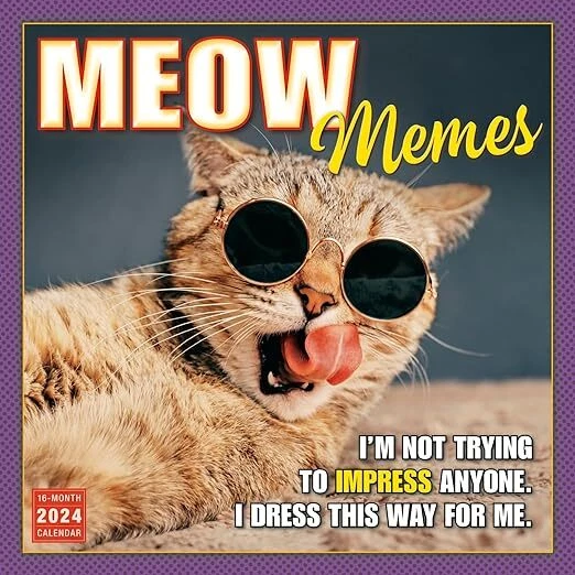 MIAU MEMES 2024 Calendario de Pared Nuevo & Oficial3612 EUR 14,72
