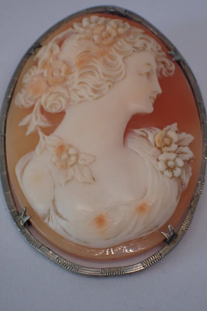 Beau bijou Ancien grand (e) Broche/ Pendentif Camée coquille