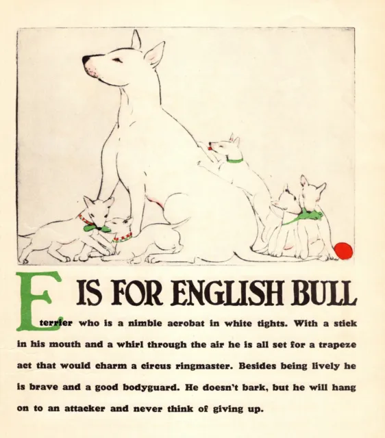 Vintage Bull Terrier Print ABC Letter E Alphabet Print Wall Art Decor 5062s