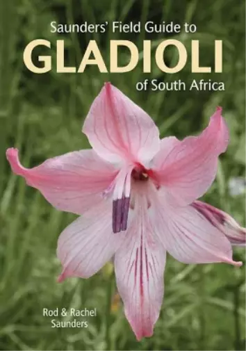 Rod Saunders Rachel Sa Saunders’ Field Guide to Gladioli of South  (Taschenbuch)