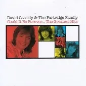David Cassidy : Could It Be Forever... The Greatest Hits CD (2006) Amazing Value