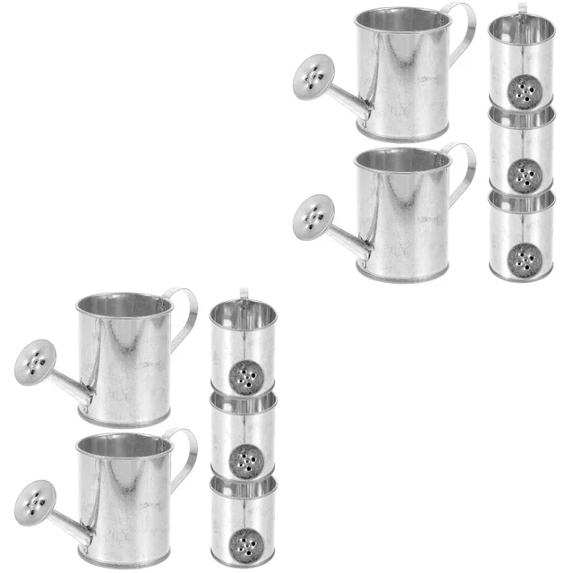 10 Pcs Mini Arrosoirs De Maison Arroser Les Fleurs Feuille Fer