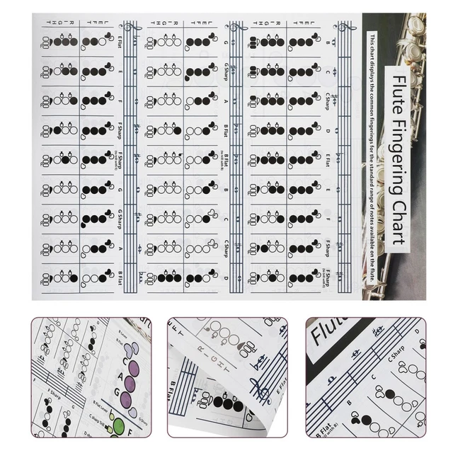 FLUTE FINGERING DIAGRAM Keys Poster for Practice Useful Note Chart £9. ...