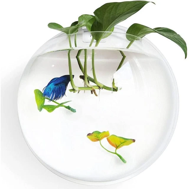 Wall Mounted Hanging Fish Bowl Aquarium Tank Fish Plant Vase Home Decoration Pot