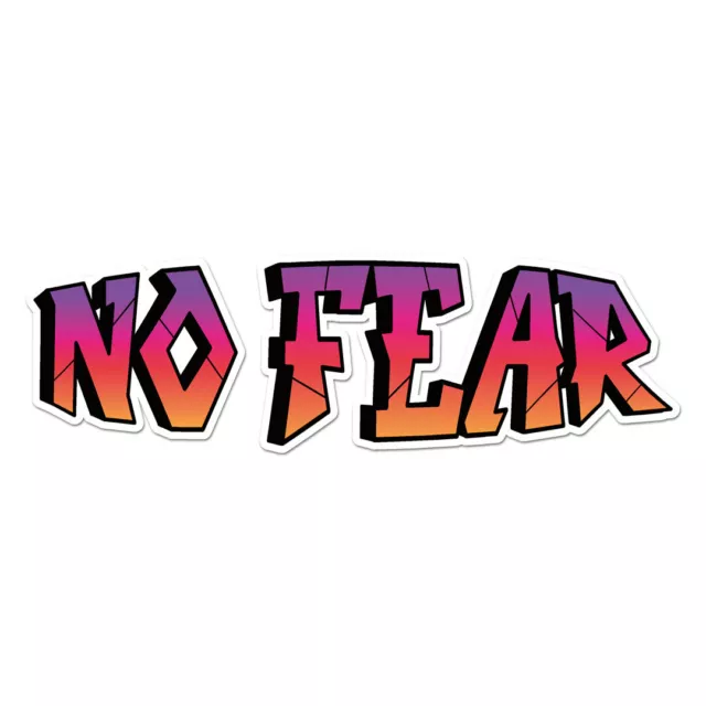 NO FEAR ANGRY Eyes Silver Vinyl Decal Sticker No Fear $6.25 - PicClick