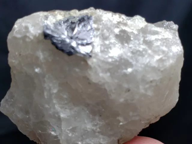 Molybdenite Specimen from Moly Hill, QC. (14.2 Grams)