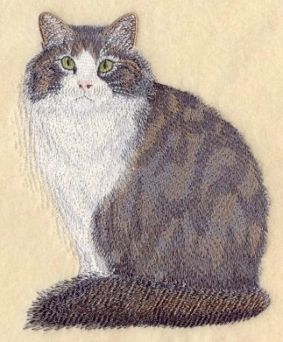 Embroidered Sweatshirt - Norwegian Forest Cat C7950 Sizes S - XXL