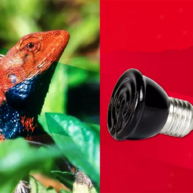 60W Mini Infrarot Keramik Emitter Wärme lampe Glühbirne Reptil Haustier