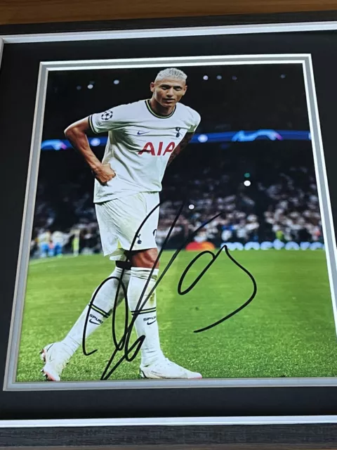 Hand Signed Richarlison Tottenham Hotspur FC 16x12 Framed Mount 2