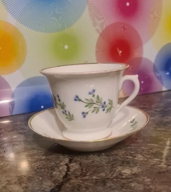 Tasse  et sa sous-tasse à thé Manufacture De Reine décor aux barbeaux XIX