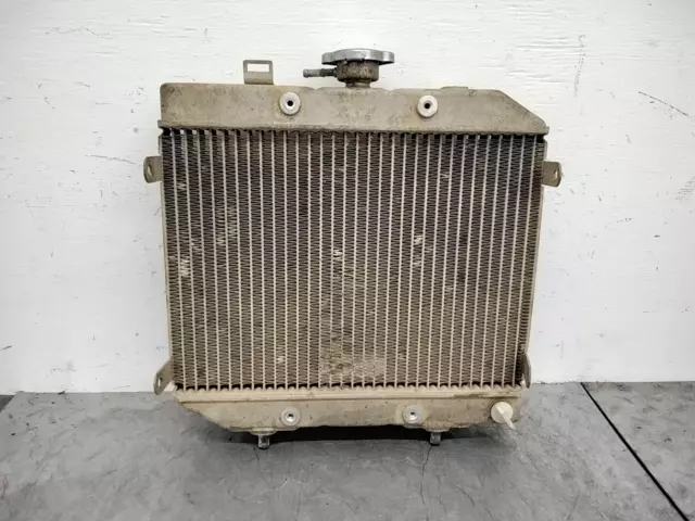 2001 Honda Foreman Rubicon 500 Trx500Fa 4X4 Oem Engine Radiator Motor Cooler