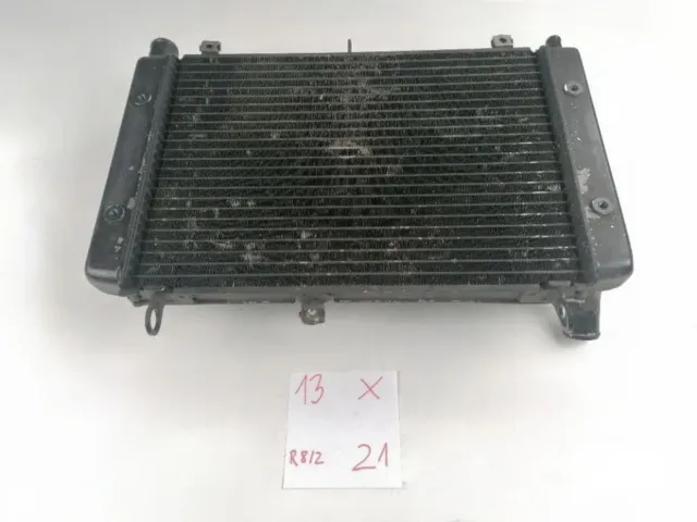 Yamaha FZS 1000 Fazer Radiator cooler Kühler Wasserkühler