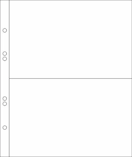 100 Prophila Belege-Hüllen für je 2 normale Briefe (DIN C6) bis 180 x 115 mm