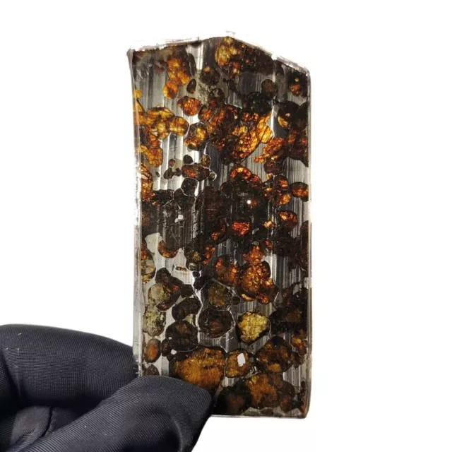 29.7g SERICHO pallasite Meteorite slice - from Kenya QA424