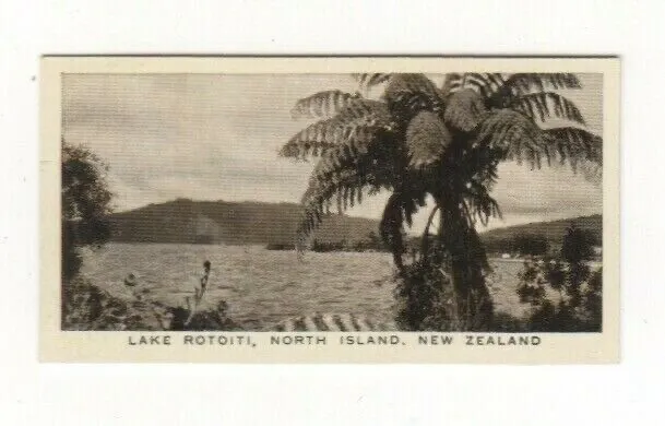 Empire cigarette card #42 Lake Rotoiti, North Island, New Zealand