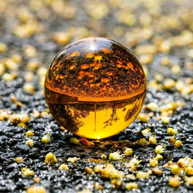 Amber Asian Rare Natural Quartz Magic Crystal Healing Ball Sphere 80mm + Stand