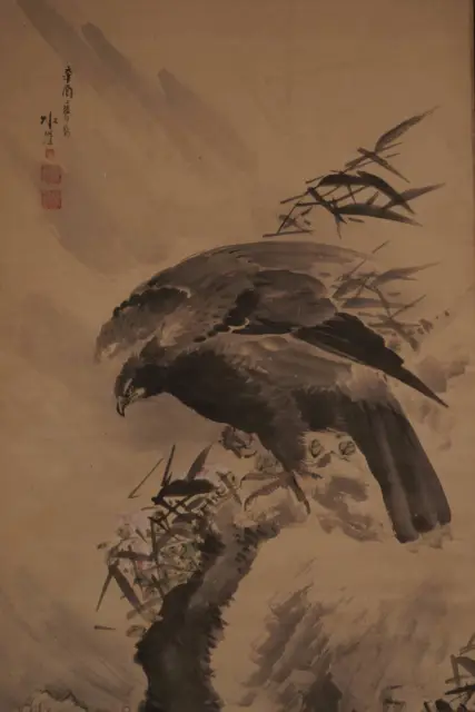 CHINESE PAINTING HANGING SCROLL CHINA HAWK BIRD Old PICTURE f315