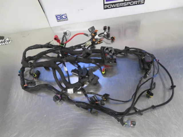 Eb1116 2019 Indian Ftr 1200 Rta Electrical Chassis Harness