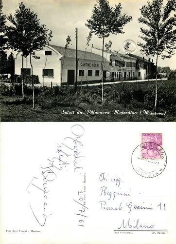Cartolina Saluti da Villanova Maiardina (San Giorgio), Cantine Negri - Mantova