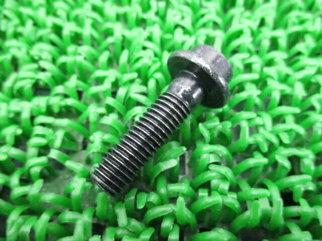 YAMAHA Genuine New TZR250 Step Bolt 2736