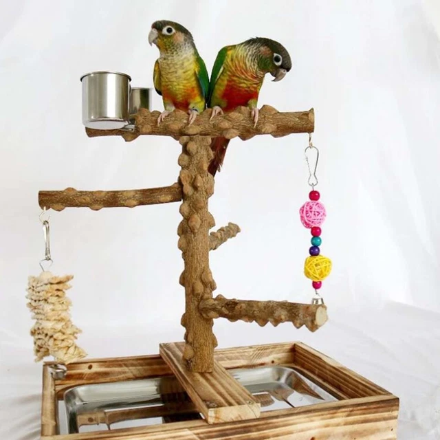Perch Factory | Manzanita Perch - Natural Wood Perches for Birds