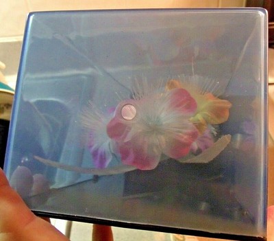Vintage Fiber Optic Flower Lamp Due west-Music Box, Plays "Memories" eight