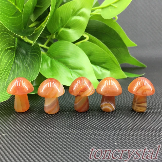 5pcs Carved Natural Carnelian Mushroom Quartz Mini Crystal Skull Reiki Healing
