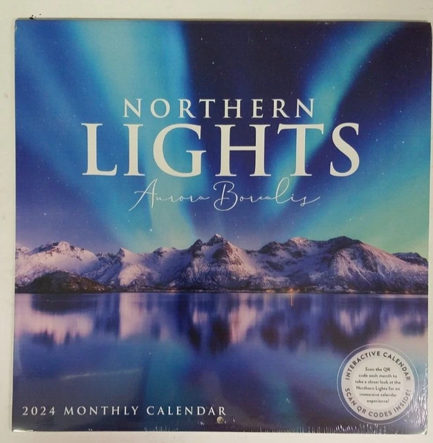 NORTHERN LIGHTS AURORA Borealis 2025 Monthly Calendar 8.99 PicClick