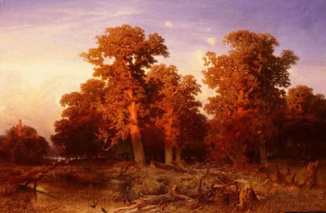Stunning Oil painting Sunset In A Hungarian Forest landscape Hand painted