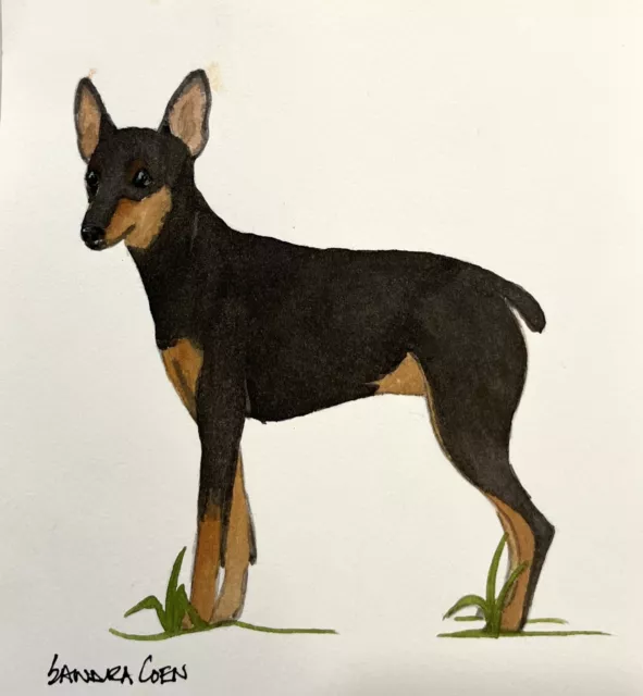 Toy Manchester Terrier Original Watercolor Painting Standing By Sandra Coen