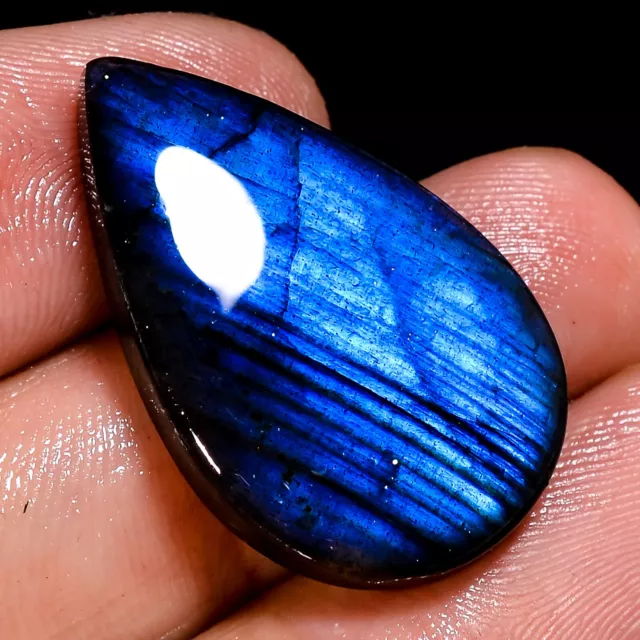 21.50Cts. Natural Play Of Blue Color Labradorite Pear Cabochon Loose Gemstone