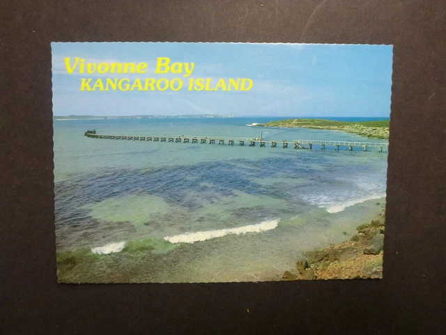 RETRO AUSTRALIAN POSTCARD- VIVONNE BAY, SA KANGAROO Is JETTY