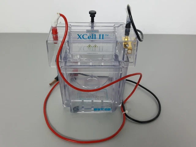 NOVEX EI9001 - XCELL II Mini Cell Gel Electrophoresis System Lab