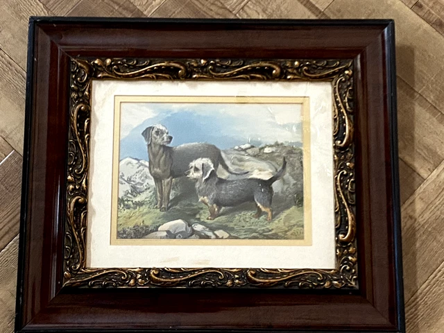 Antique Dandie Dinmont & Bedlington Terrier Dog Picture 1881 Ornate Frame