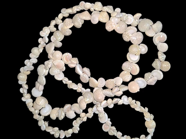 Vintage Beige Umbonium Hawaiian Snail Shell Necklace 36" Beach Luau Hula Surfer