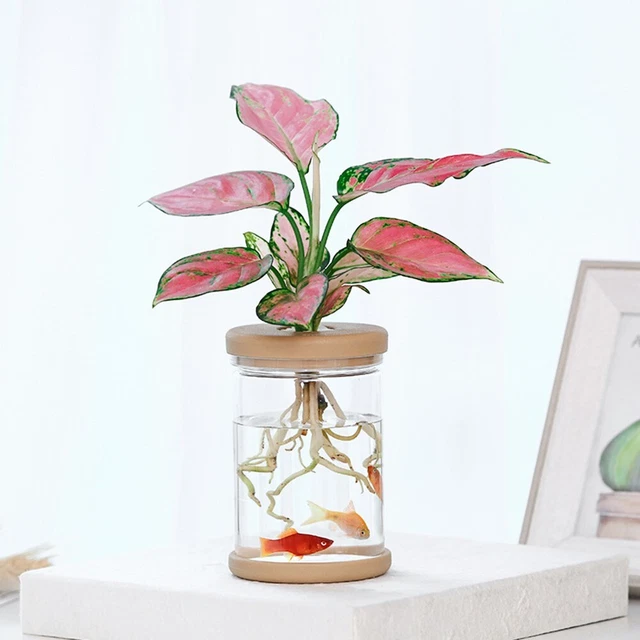 Pratico vaso per piante vaso per animali domestici vaso idroponico per fiori piante plastica 2 pz 6