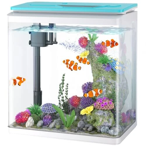 8 Gallon Fish Tank, Glass Aquarium Tank with Thermometer, 7 LED Light Colors,
