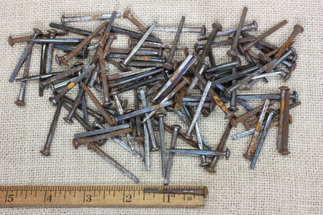 1 1/2” OLD Button rose Square NAILS round Domed head 100 in lot rustic vintage