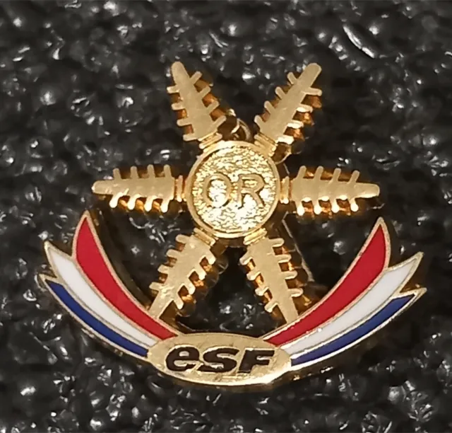 Joli insigne, broche médaille ski ESF L'Ourson, fabrication après 2006 
