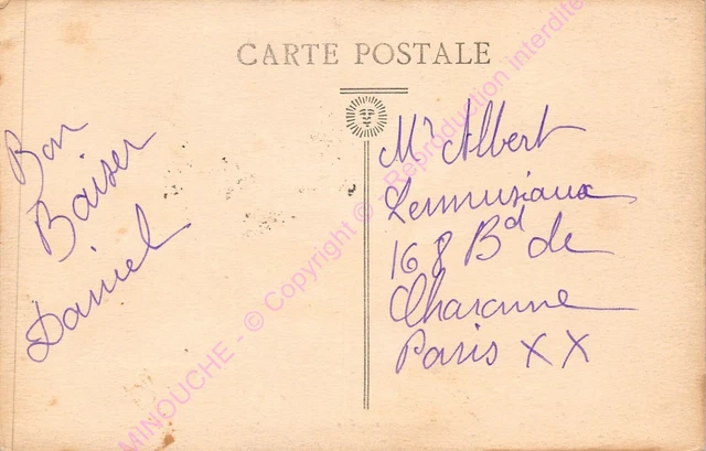 CPA 94500 CHAMPIGNY SUR MARNE Le Plant rue des fleurs 2